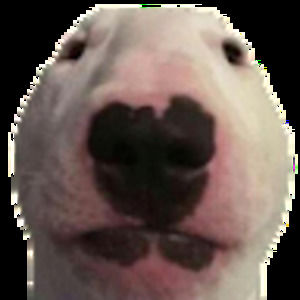 Meet your Posher, Theodore